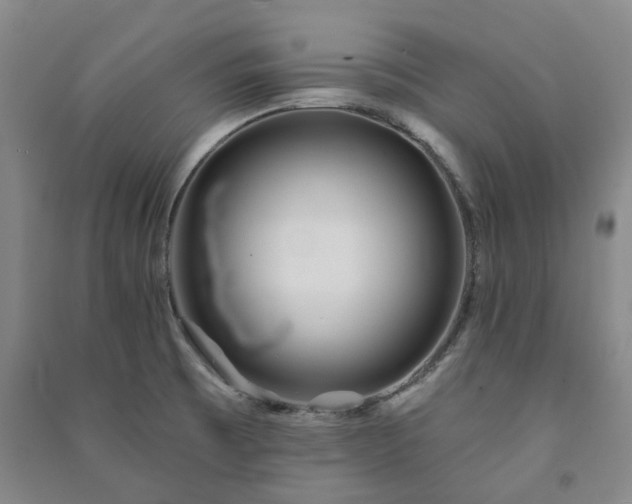 X0000091231473200708161707