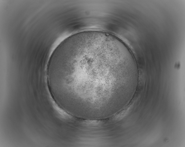 X0000091231474200708161707