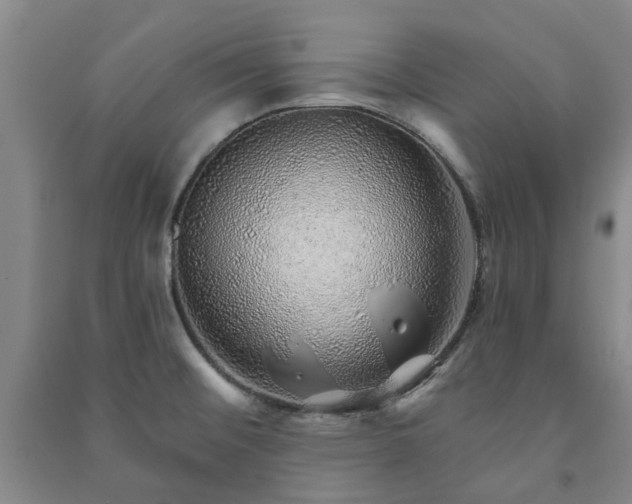 X0000091231476200708161707