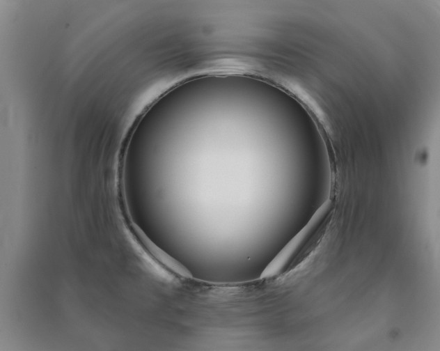 X0000091231477200708161707