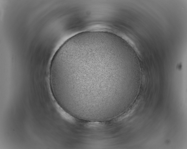 X0000091231478200708161707