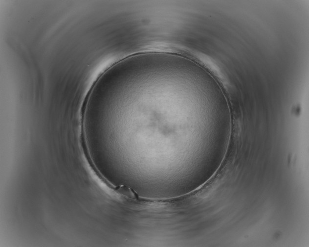 X0000091231479200708161707