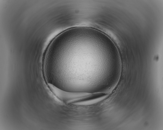 X0000091231480200708161707