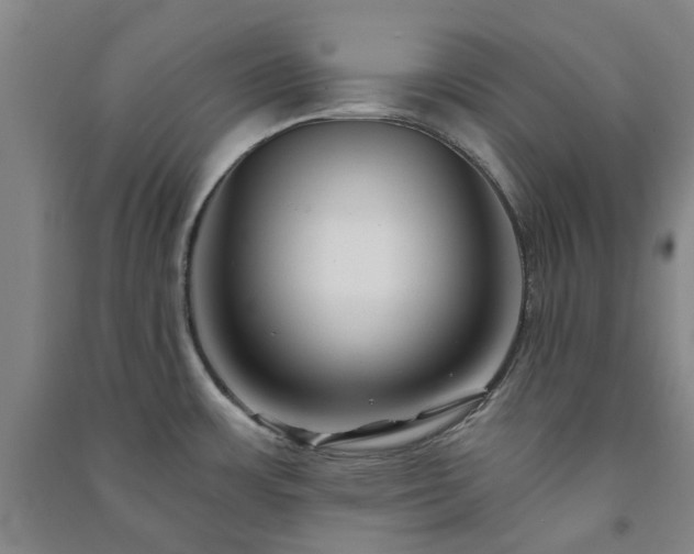 X0000091231483200708161706
