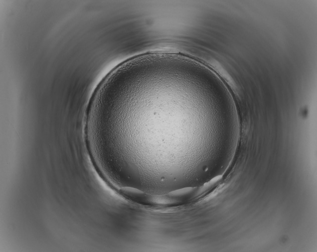 X0000091231484200708161706