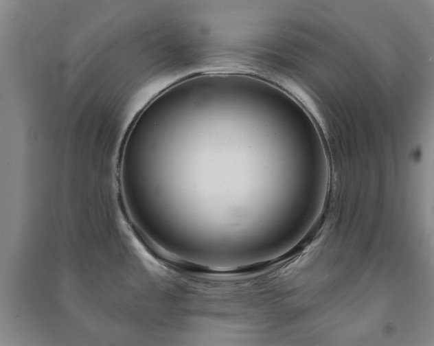 X0000091231485200708161706