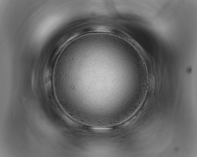 X0000091231487200708161706