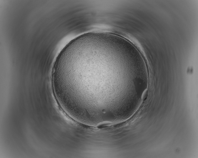 X0000091231488200708161706