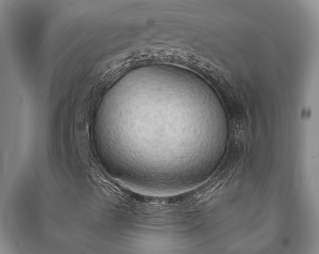 X0000091231489200708161706