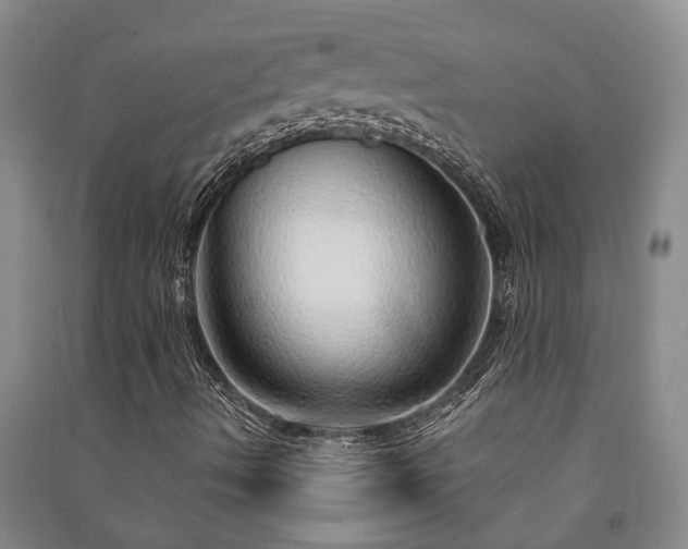 X0000091231490200708161706