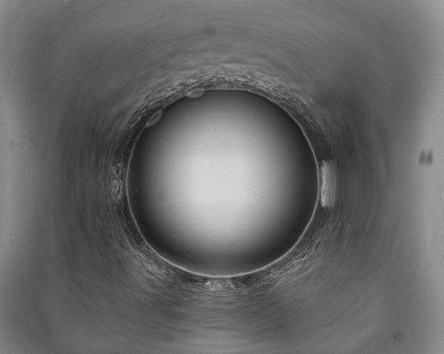 X0000091231491200708161706