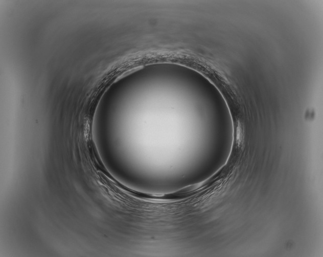 X0000091231492200708161706