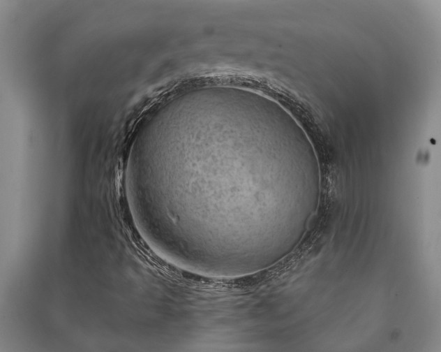 X0000091231493200708161706