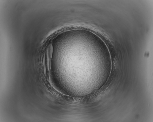 X0000091231494200708161706