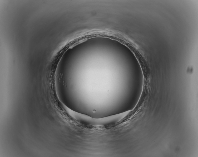 X0000091231496200708161706