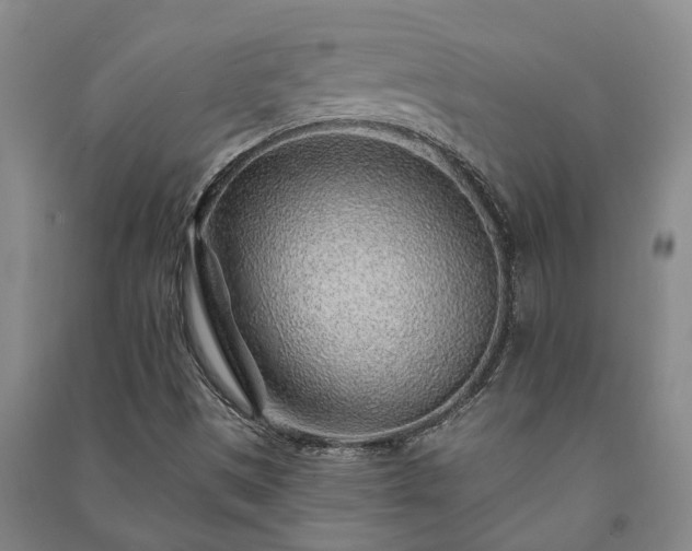 X0000091231497200708161706