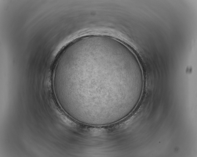 X0000091231498200708161706