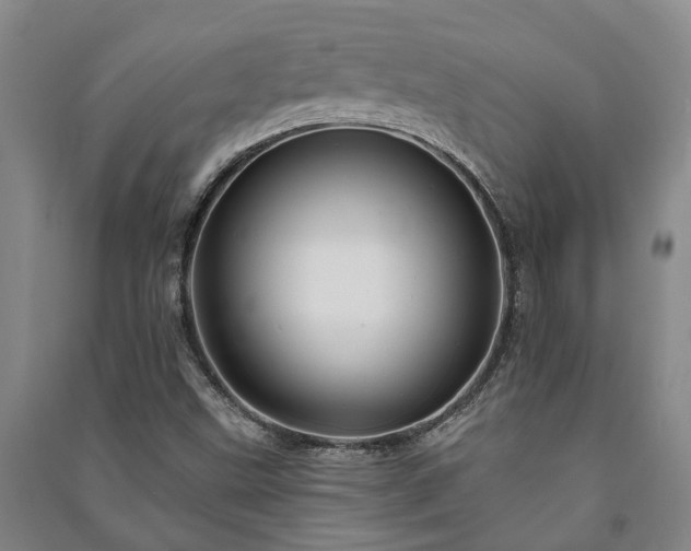 X0000091231499200708161706