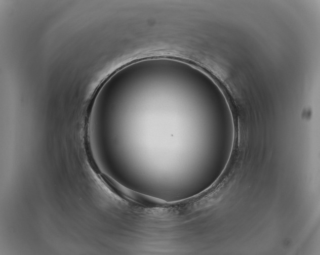 X0000091231500200708161706