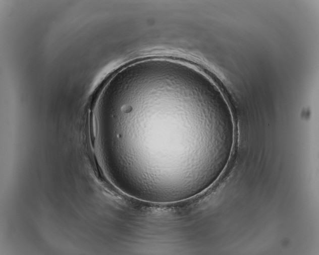 X0000091231501200708161706