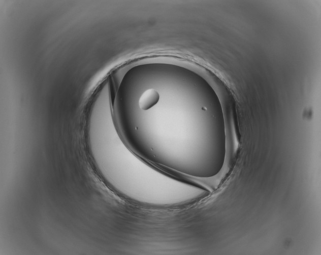 X0000091231502200708161706