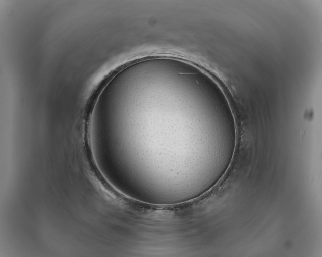 X0000091231503200708161706