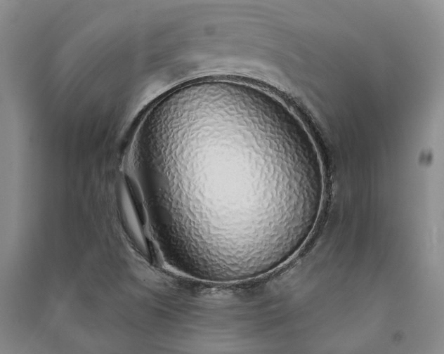 X0000091231505200708161706