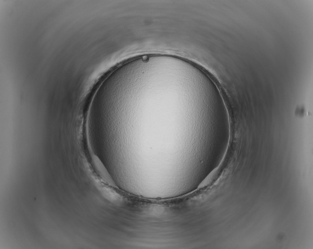 X0000091231507200708161706