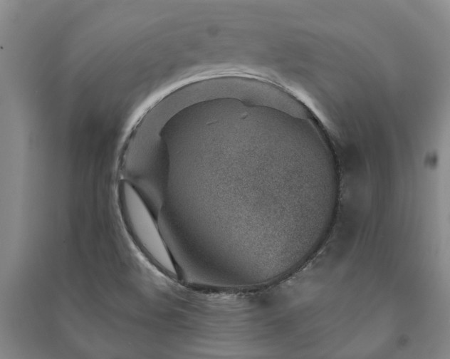 X0000091231508200708161706