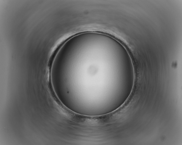 X0000091231509200708161706