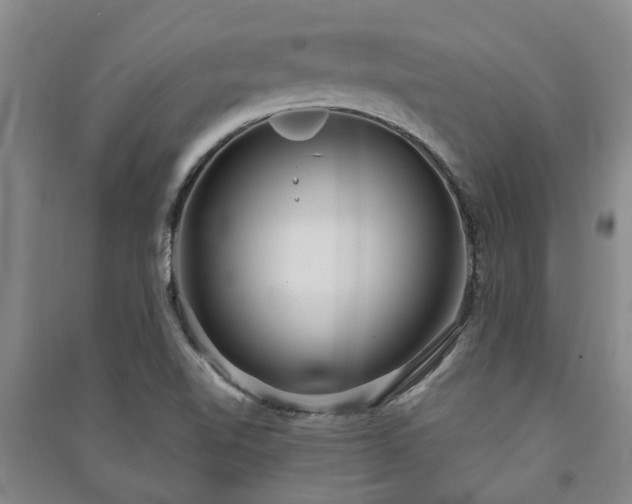 X0000091231510200708161706