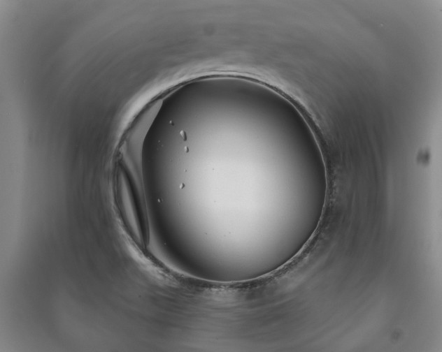 X0000091231511200708161706