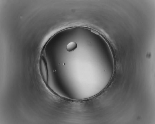 X0000091231512200708161706