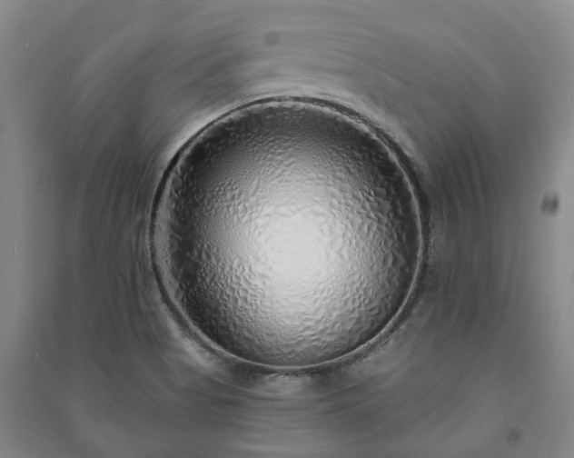 X0000091231513200708161706