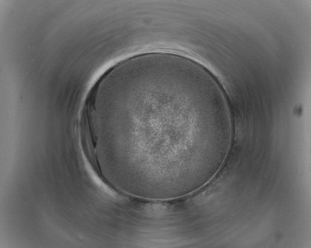 X0000091231515200708161706