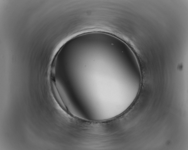 X0000091231516200708161706