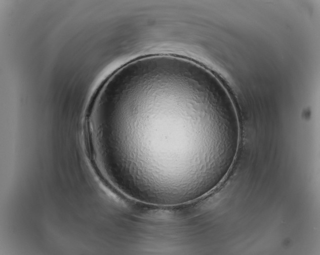 X0000091231517200708161706