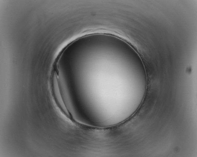 X0000091231518200708161706