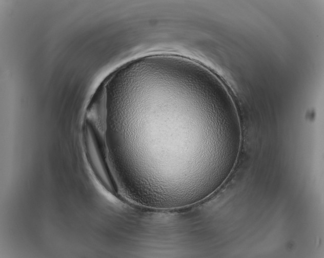 X0000091231519200708161706