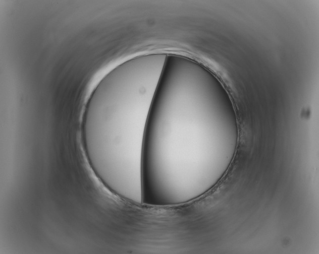 X0000091231520200708161706