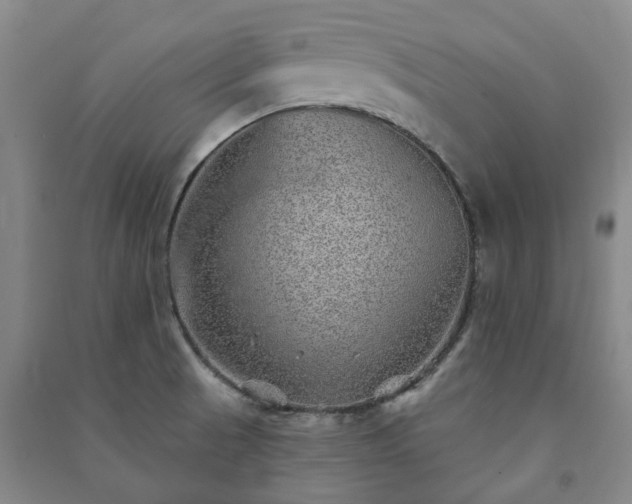 X0000091231521200708161706