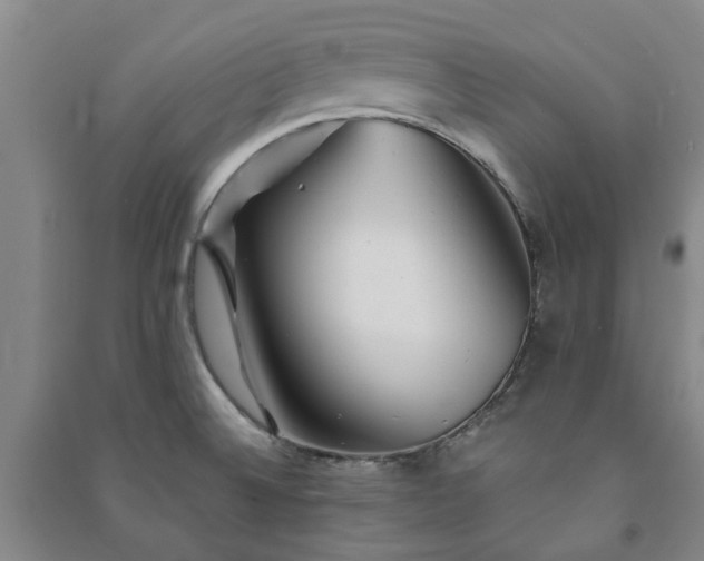 X0000091231524200708161706