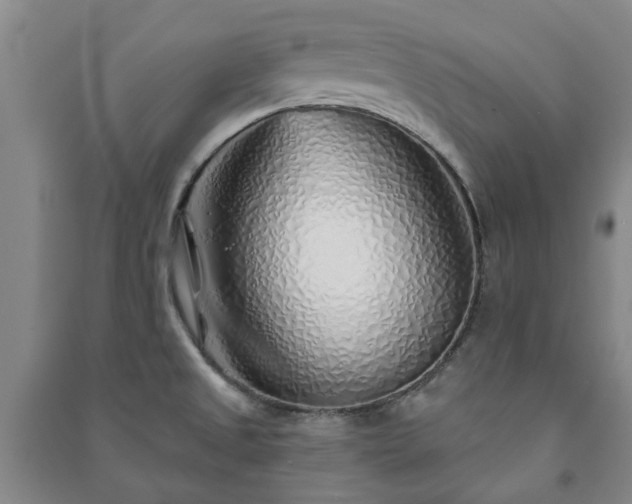 X0000091231525200708161706