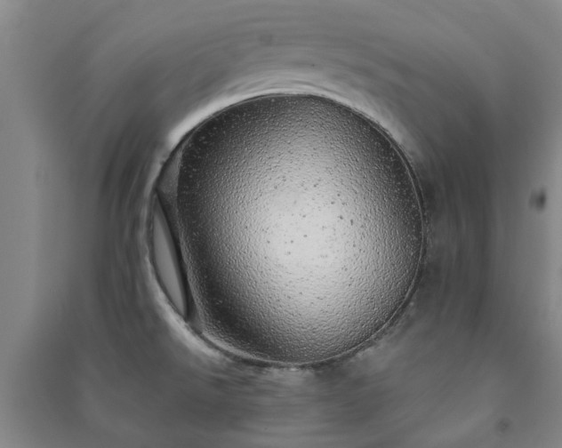 X0000091231526200708161706