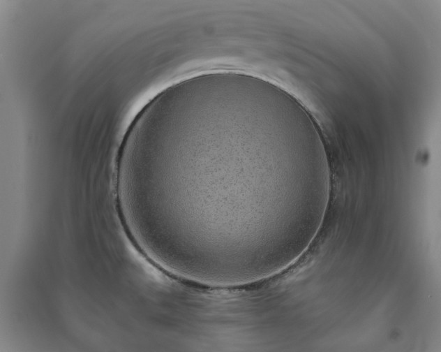 X0000091231527200708161706