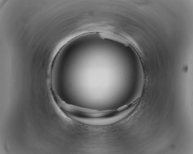 X0000091231528200708161706