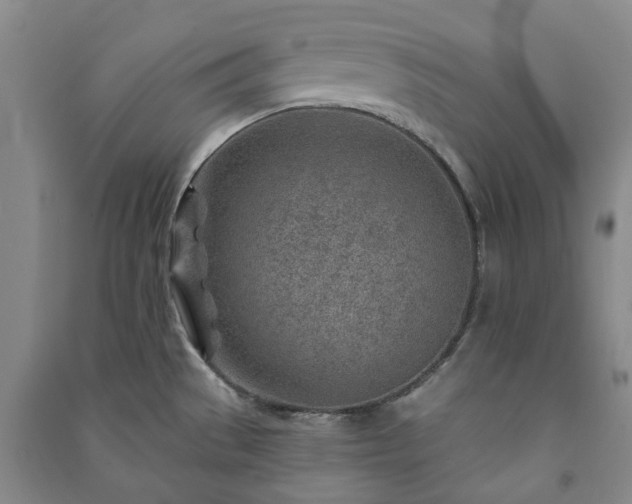 X0000091231529200708161706