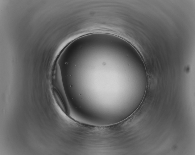 X0000091231531200708161706