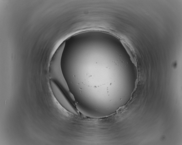 X0000091231532200708161706