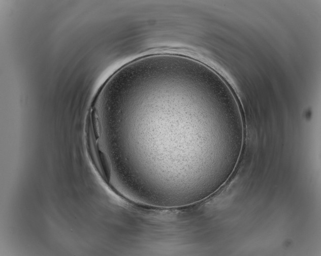X0000091231533200708161706